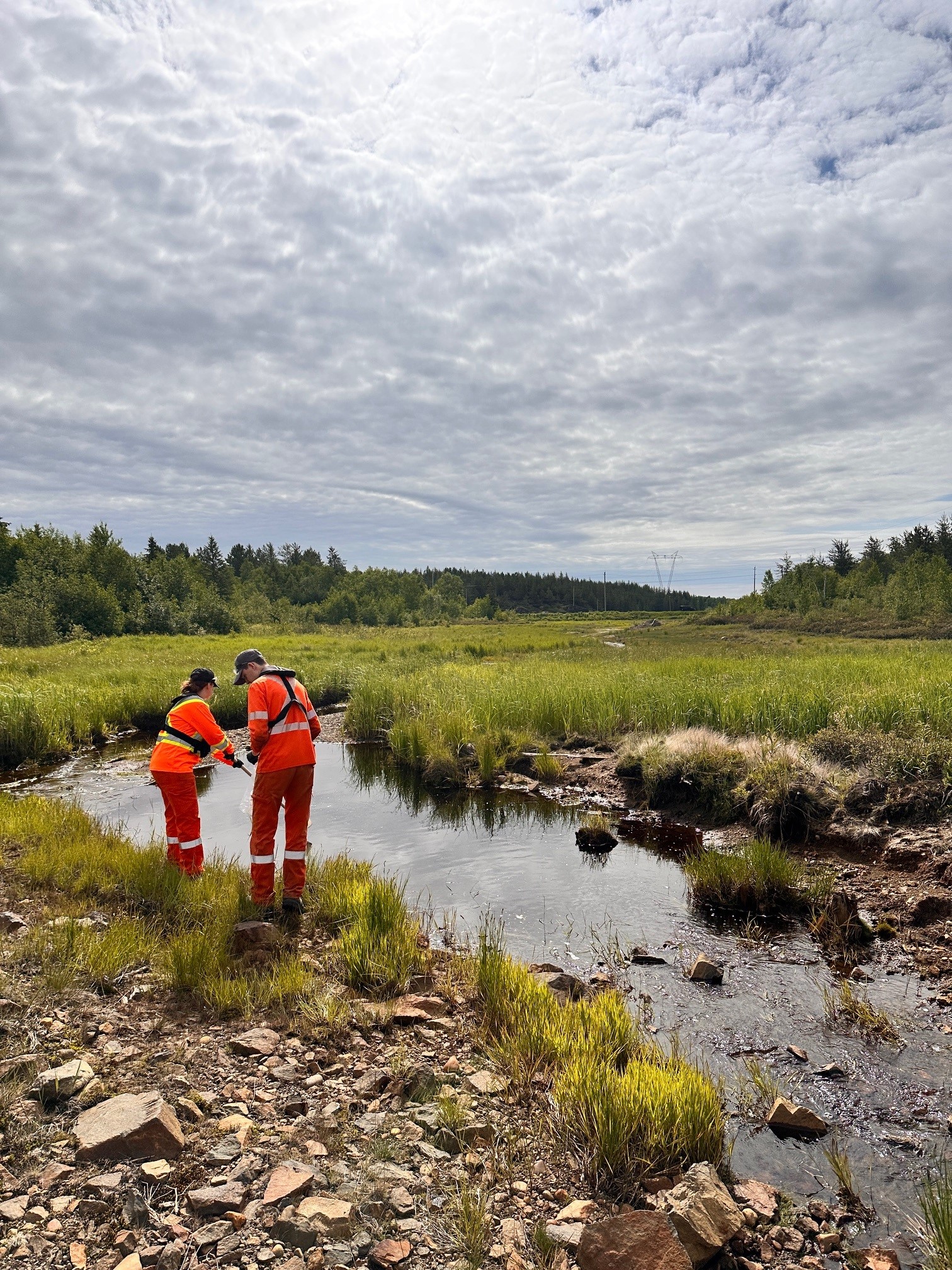 Deux employés prélèvent des échantillons d’eau dans un ruisseau à Sudbury INO